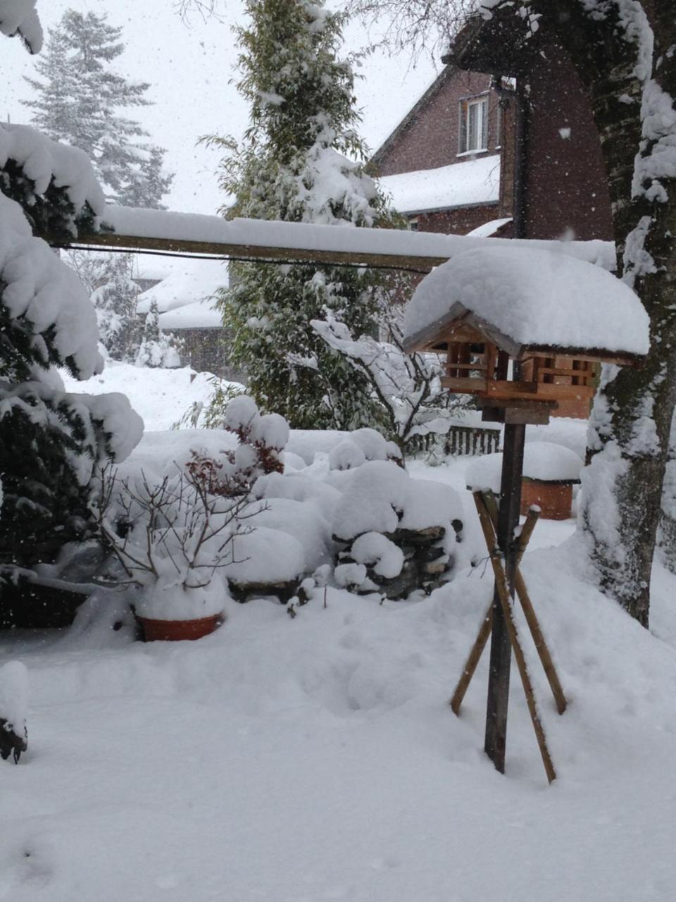 Ferienwohnung Milchgaessli Frutigen Exteriör bild